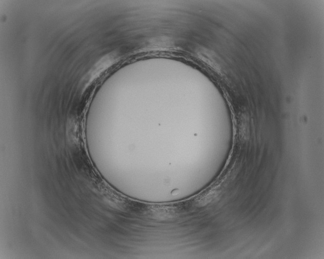 X0000074311258200609011503