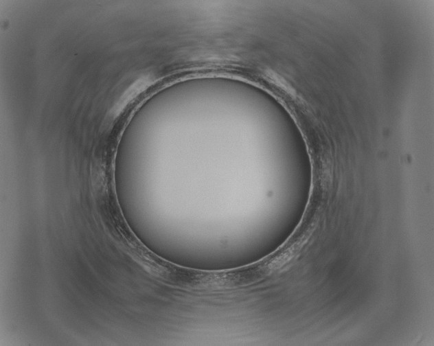 X0000074311259200609011503