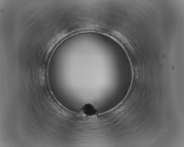 X0000074311260200609011503