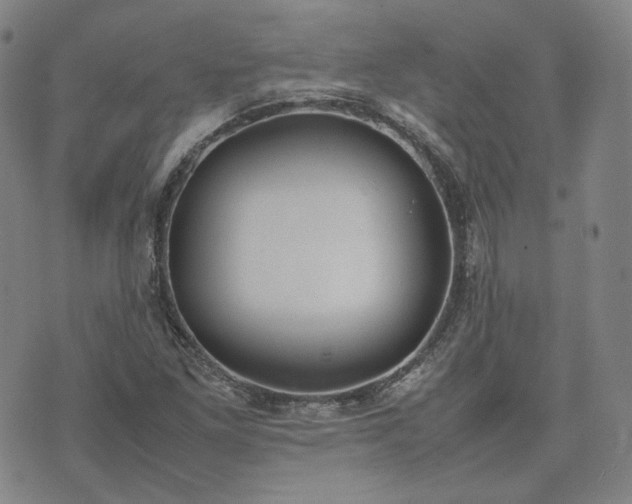 X0000074311261200609011503