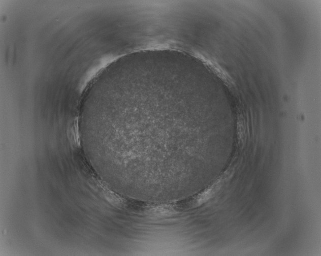 X0000074311262200609011503