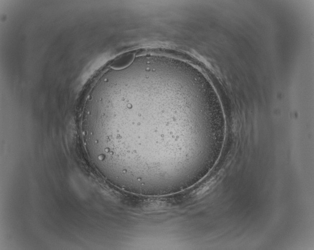 X0000074311263200609011503