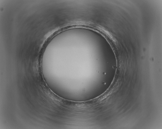 X0000074311264200609011503