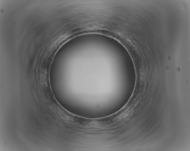 X0000074311265200609011503