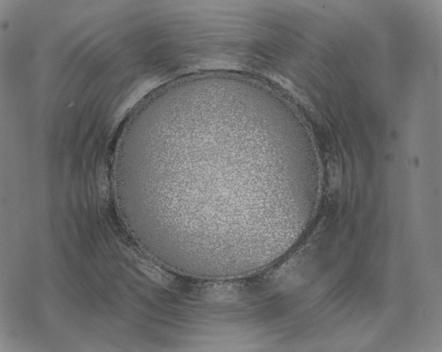 X0000074311266200609011503