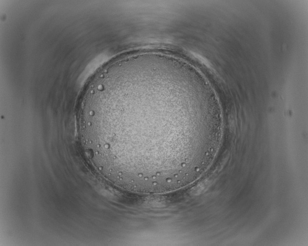 X0000074311267200609011503