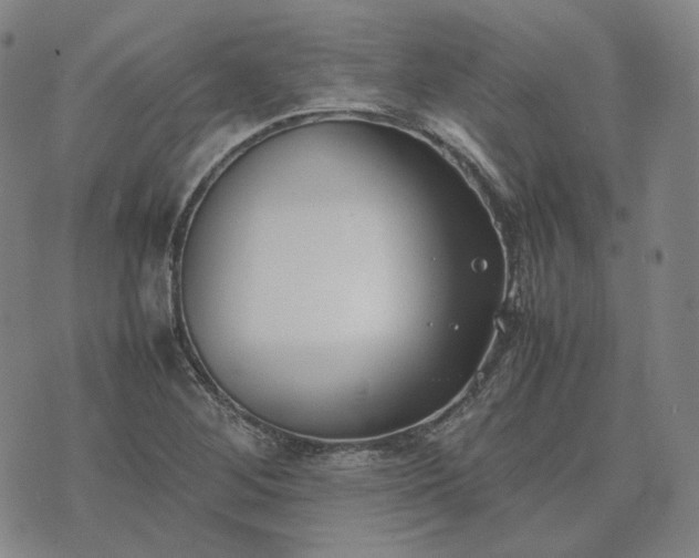 X0000074311268200609011503