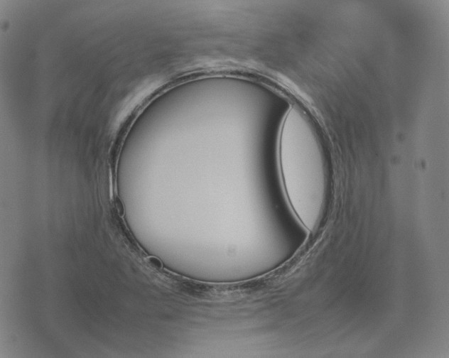 X0000074311269200609011503