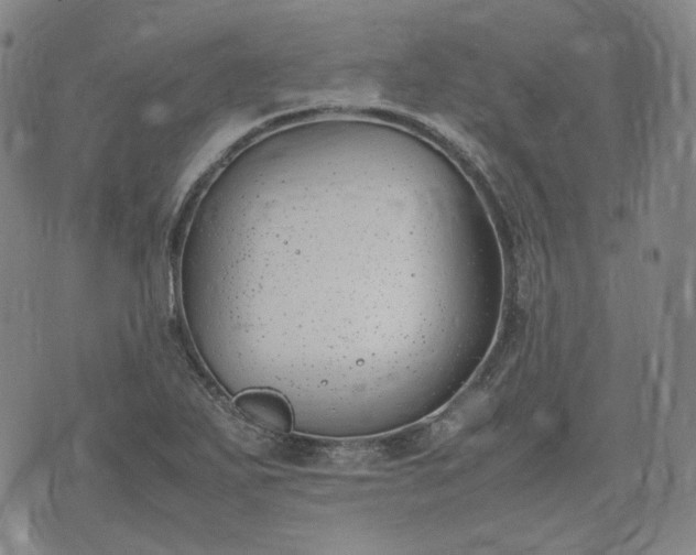 X0000074311271200609011503