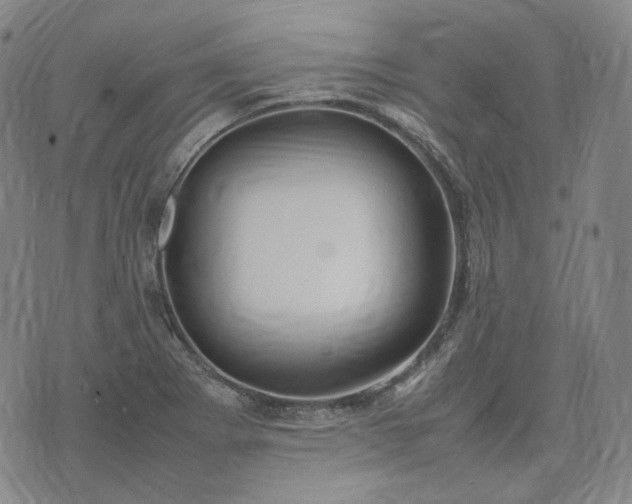 X0000074311273200609011503