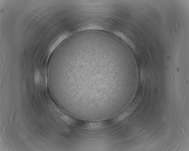 X0000074311274200609011503