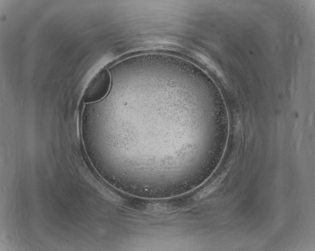 X0000074311275200609011503