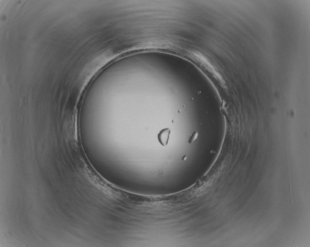 X0000074311276200609011503