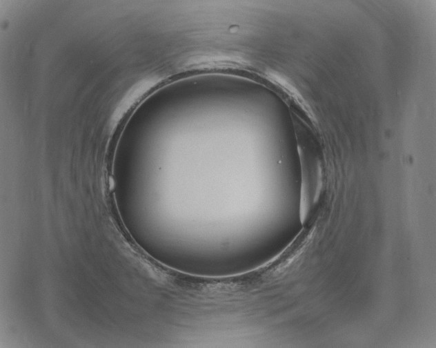 X0000074311277200609011503