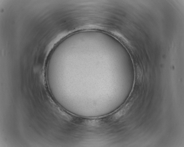 X0000074311278200609011503