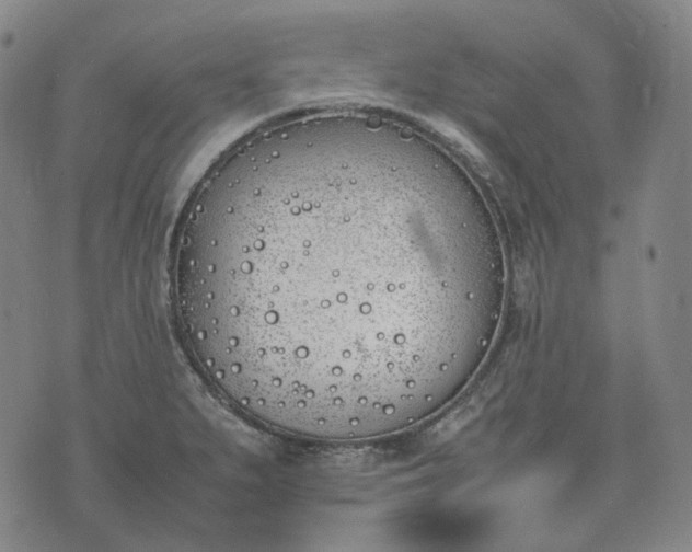 X0000074311279200609011503