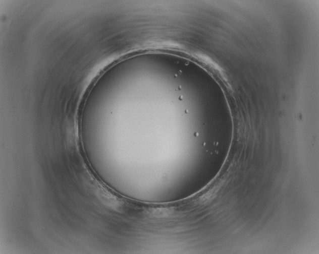 X0000074311280200609011503