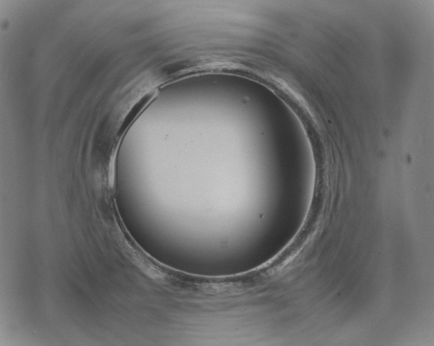 X0000074311281200609011503