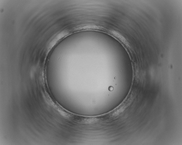 X0000074311282200609011503