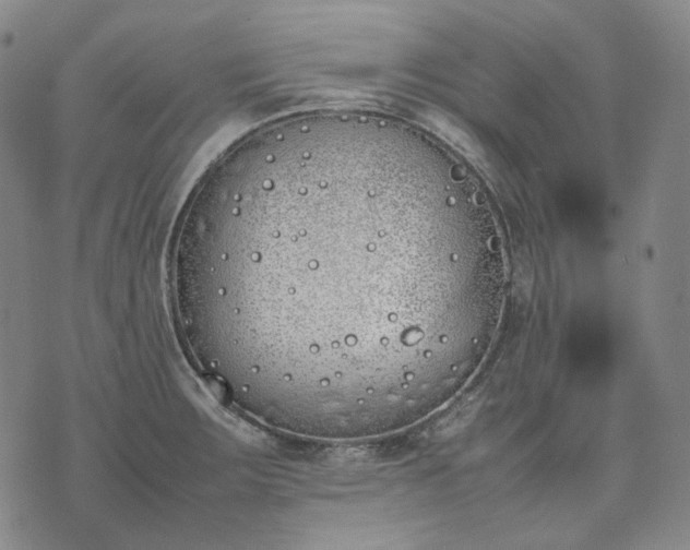 X0000074311283200609011503