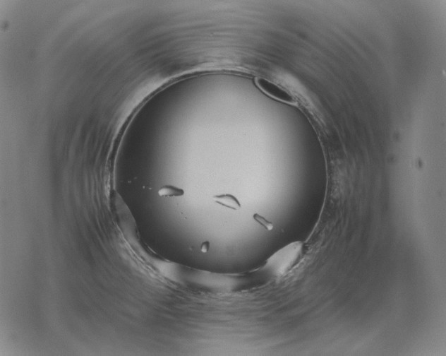 X0000074311284200609011503