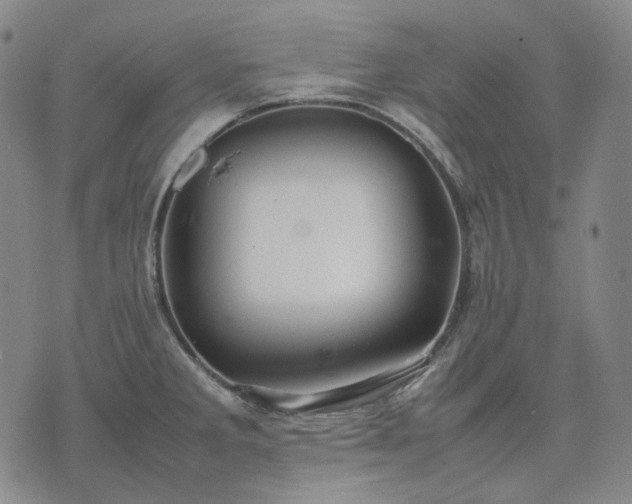 X0000074311285200609011503