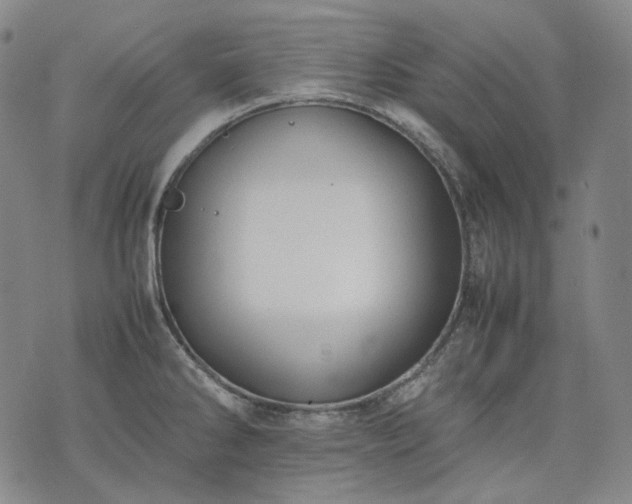 X0000074311286200609011503