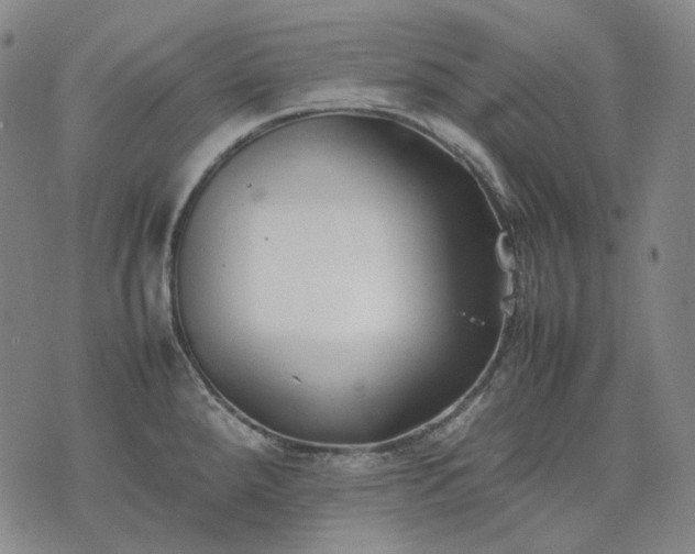 X0000074311288200609011503