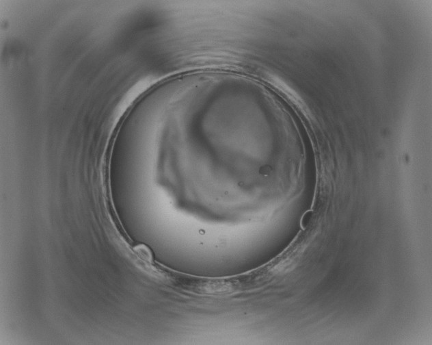 X0000074311291200609011503