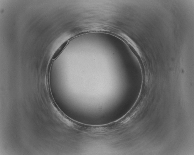 X0000074311293200609011503