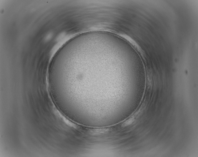 X0000074311294200609011503