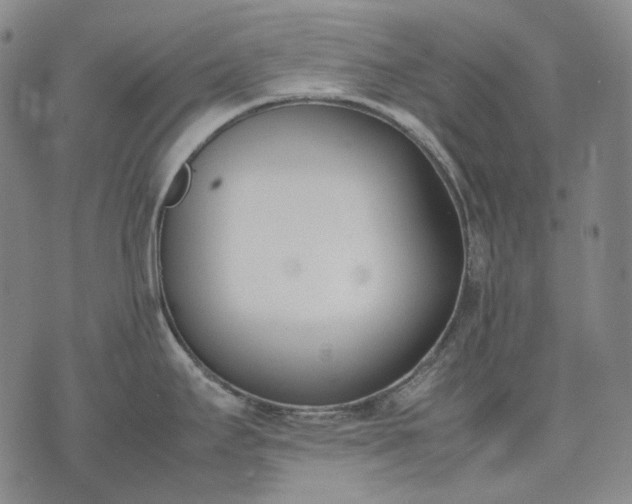 X0000074311295200609011503