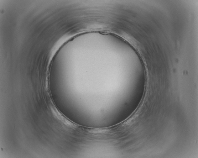 X0000074311296200609011503