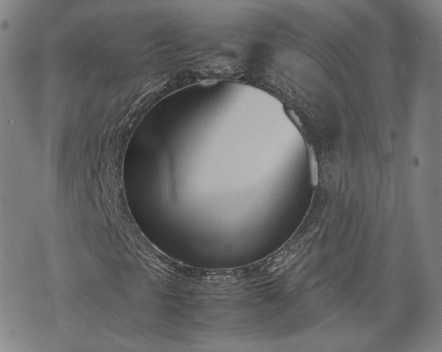 X0000074311297200609011502