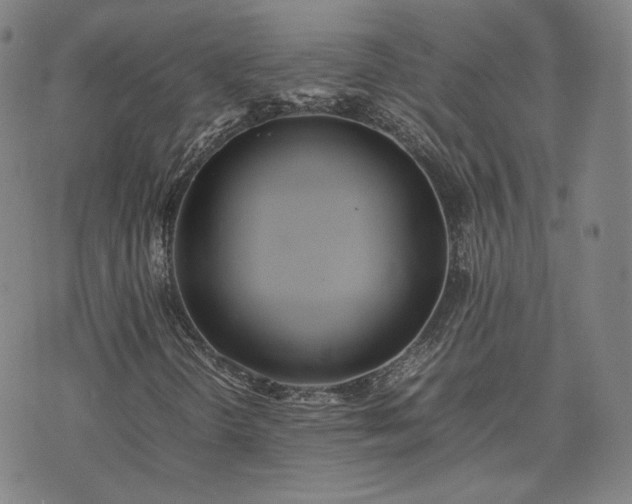 X0000074311298200609011502