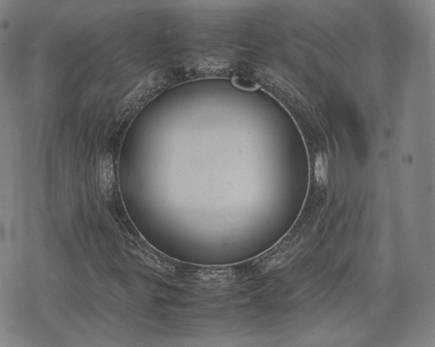 X0000074311299200609011502