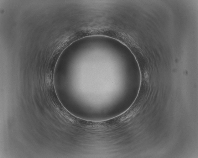 X0000074311300200609011502