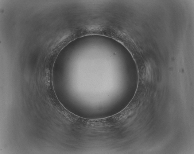 X0000074311301200609011502