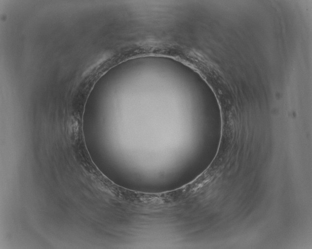 X0000074311302200609011502