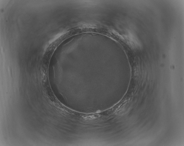 X0000074311303200609011502