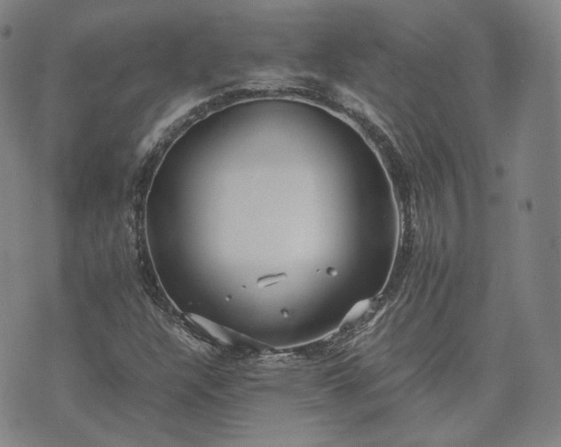 X0000074311304200609011502