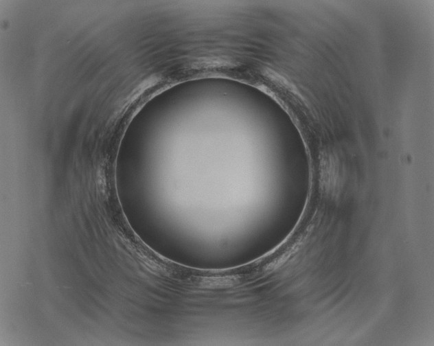 X0000074311305200609011502