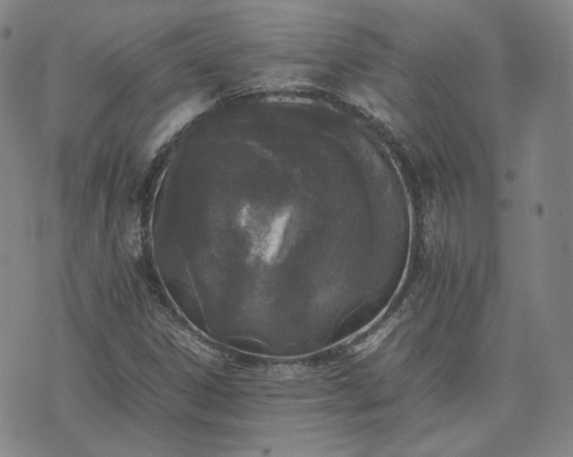 X0000074311306200609011502