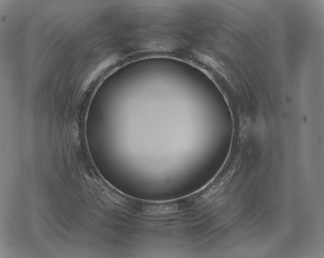 X0000074311307200609011502