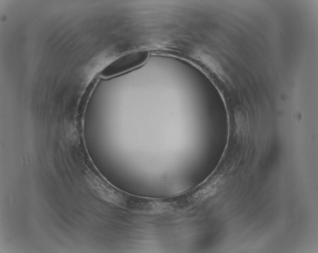 X0000074311308200609011502