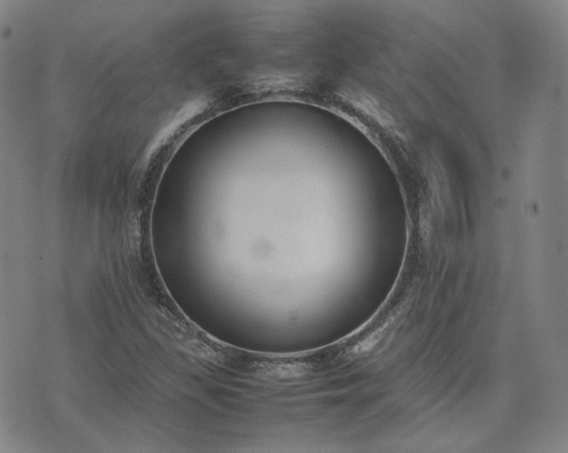 X0000074311309200609011502