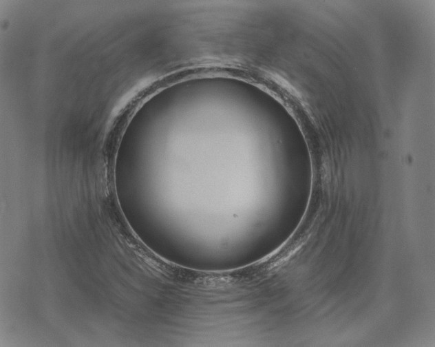 X0000074311310200609011502