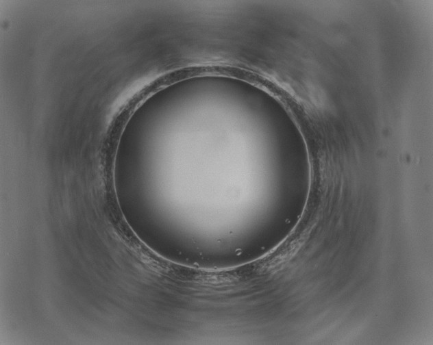 X0000074311311200609011502