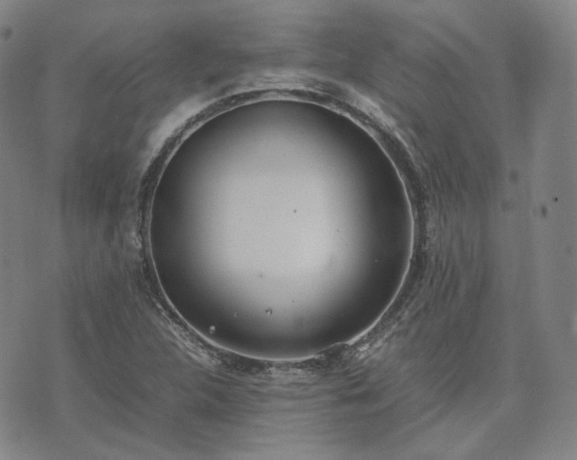 X0000074311312200609011502