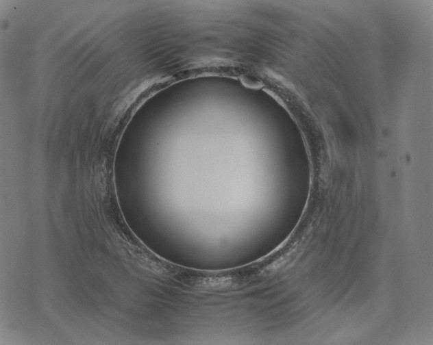 X0000074311313200609011502